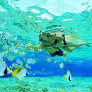 Wall-Point-snorkeling-nusa-penida